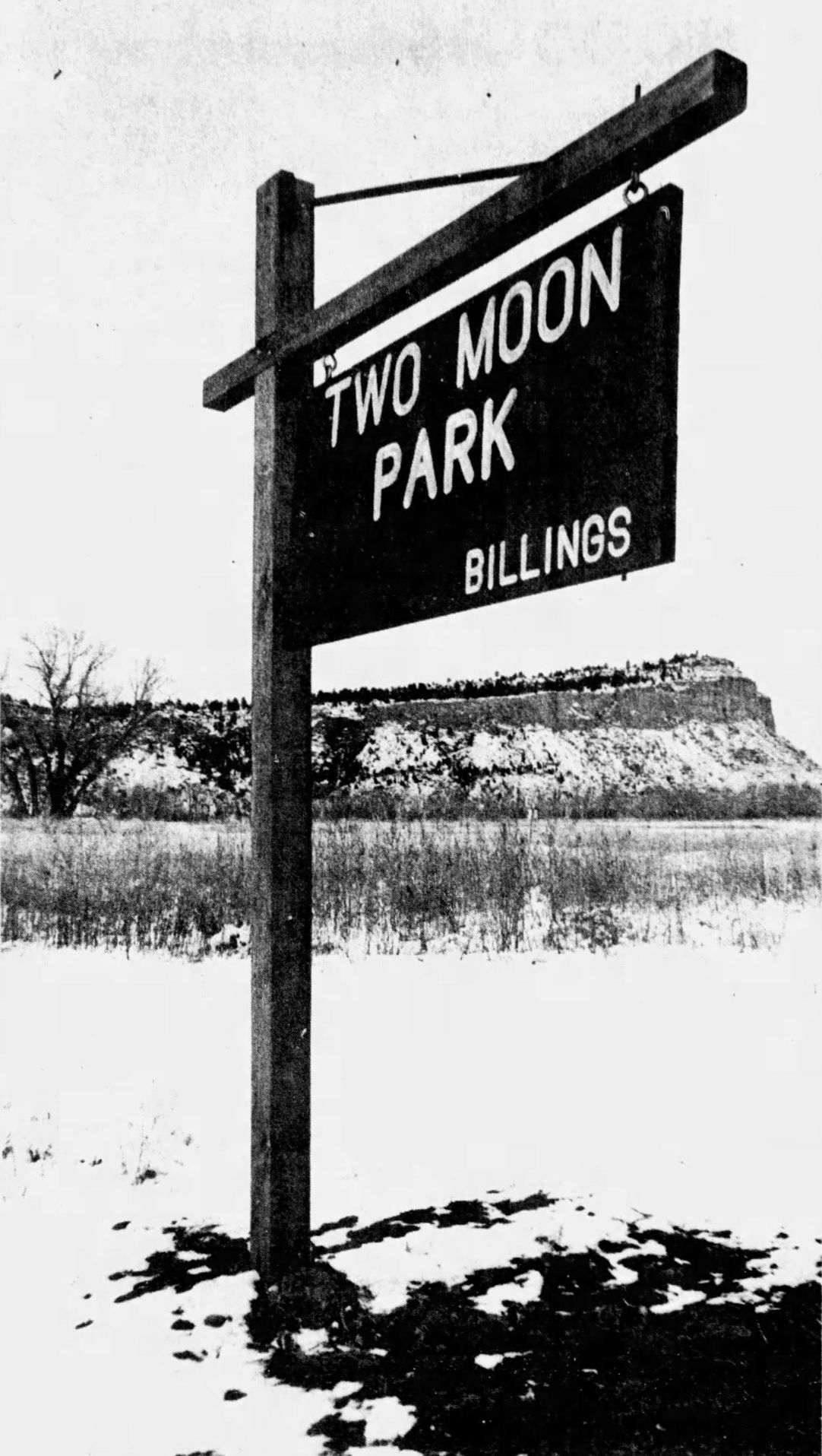 Two Moon Park, 1974